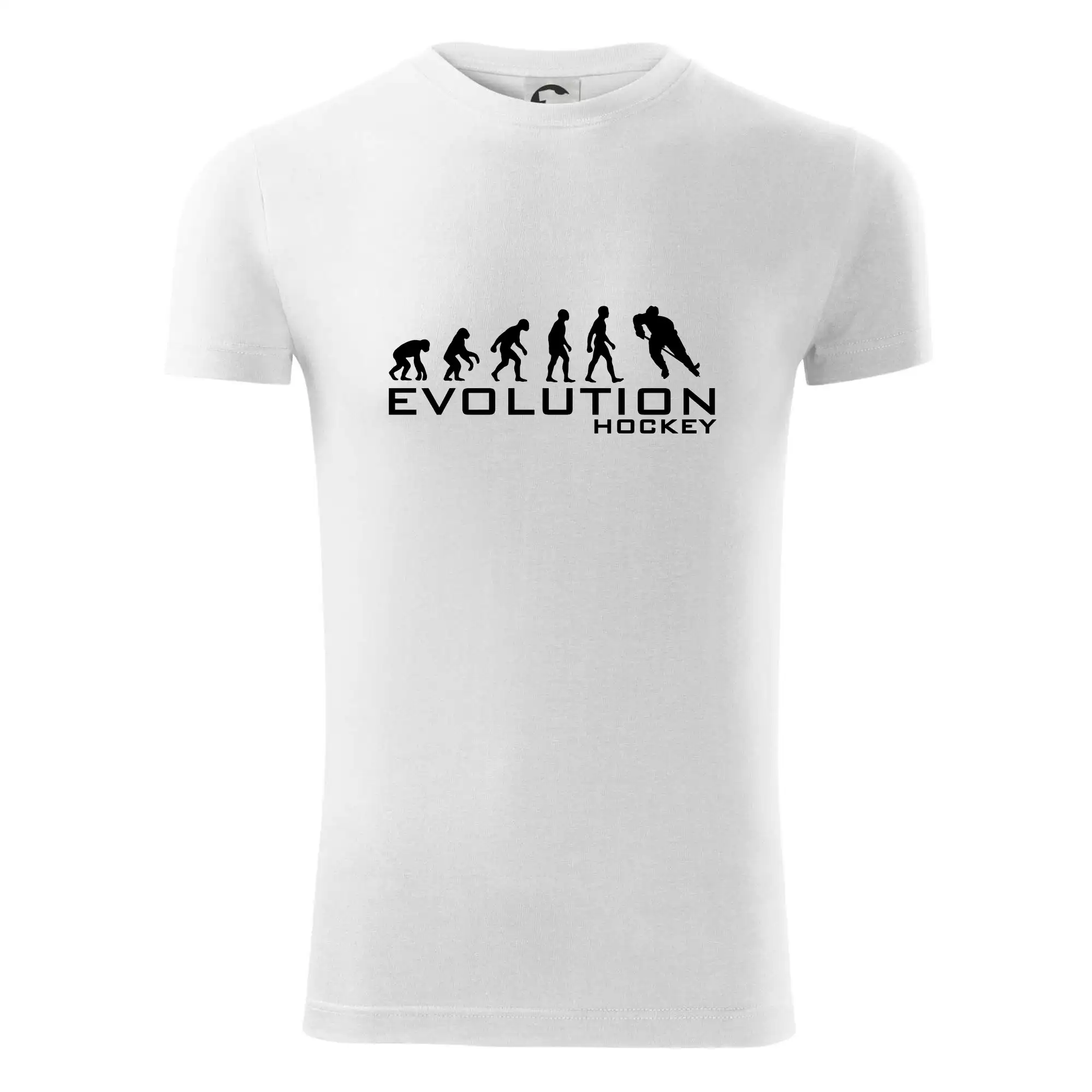 Evoluce Hockey - hráč