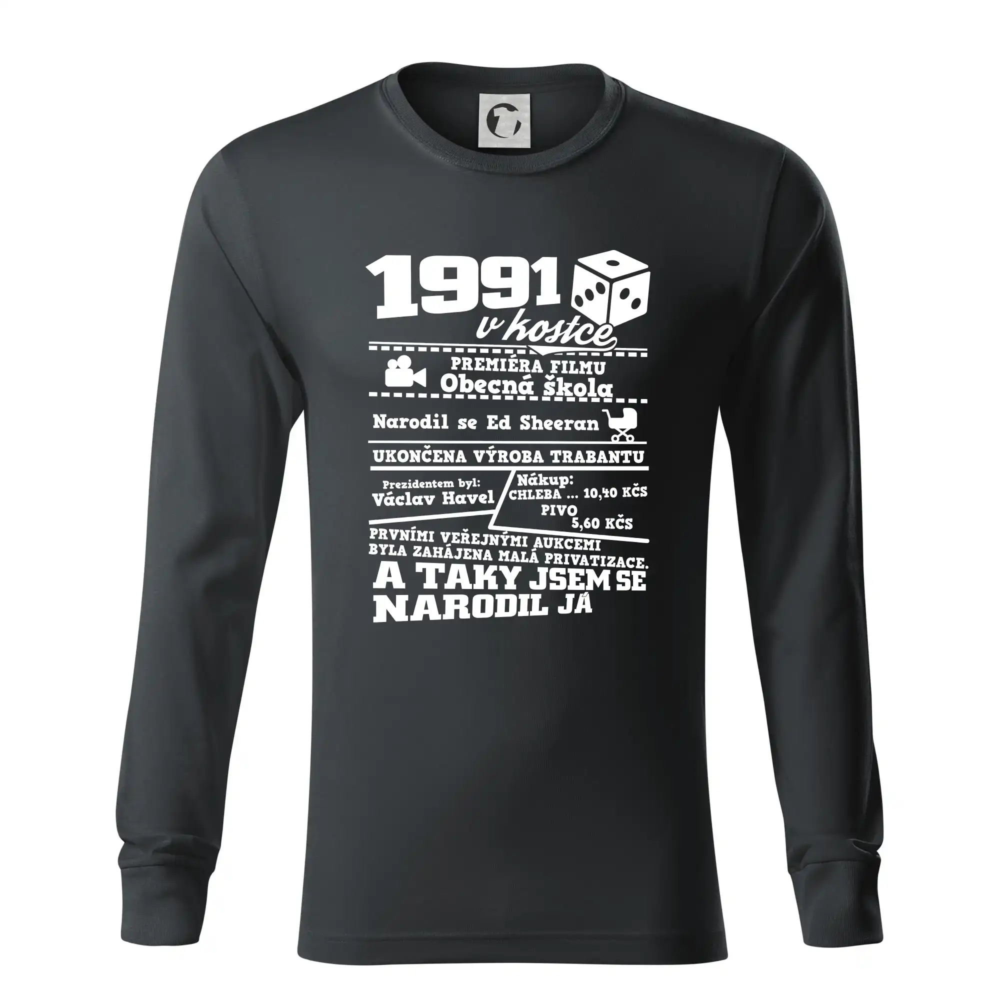 1991 v kostce