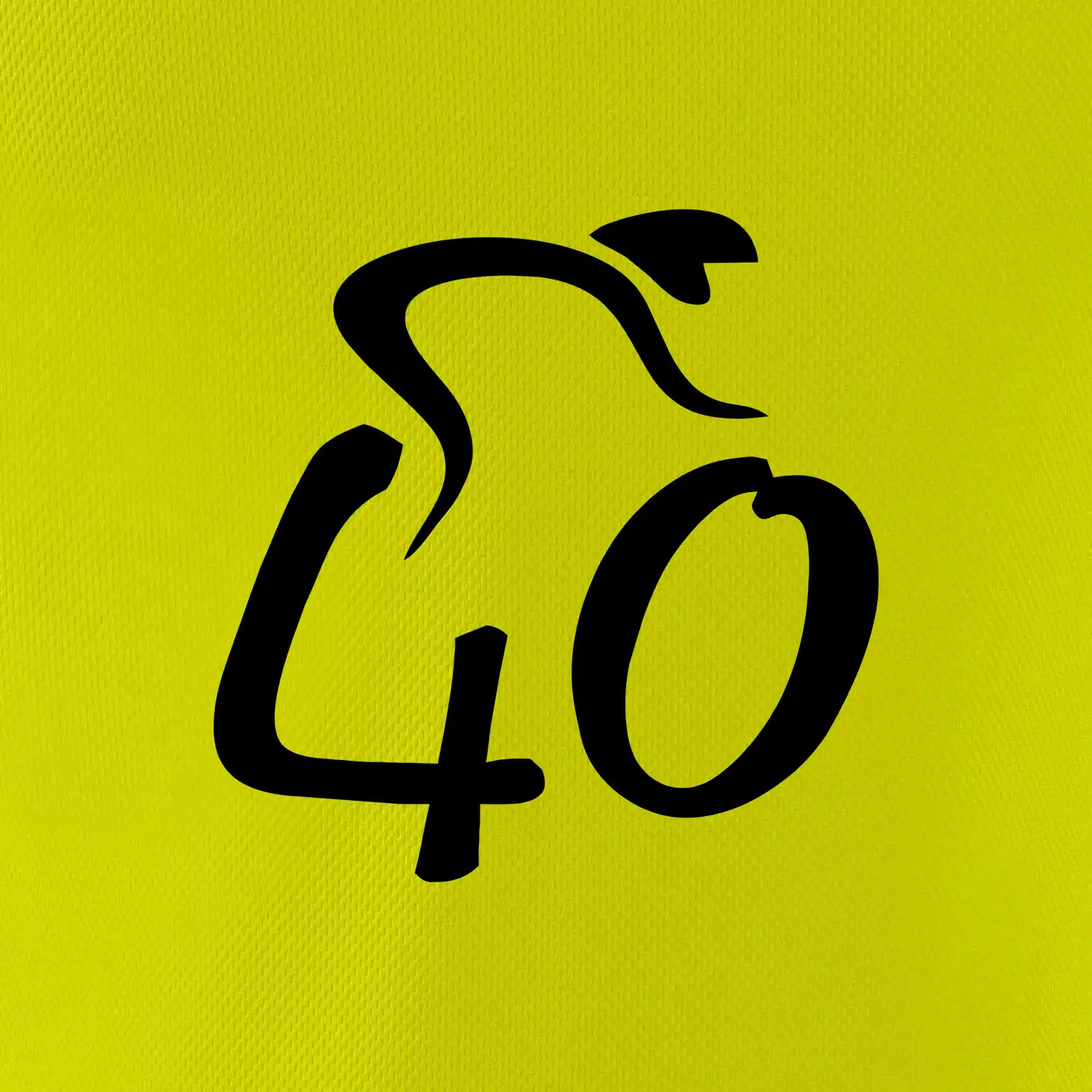 Cyklista slaví čtyřicítku (40)