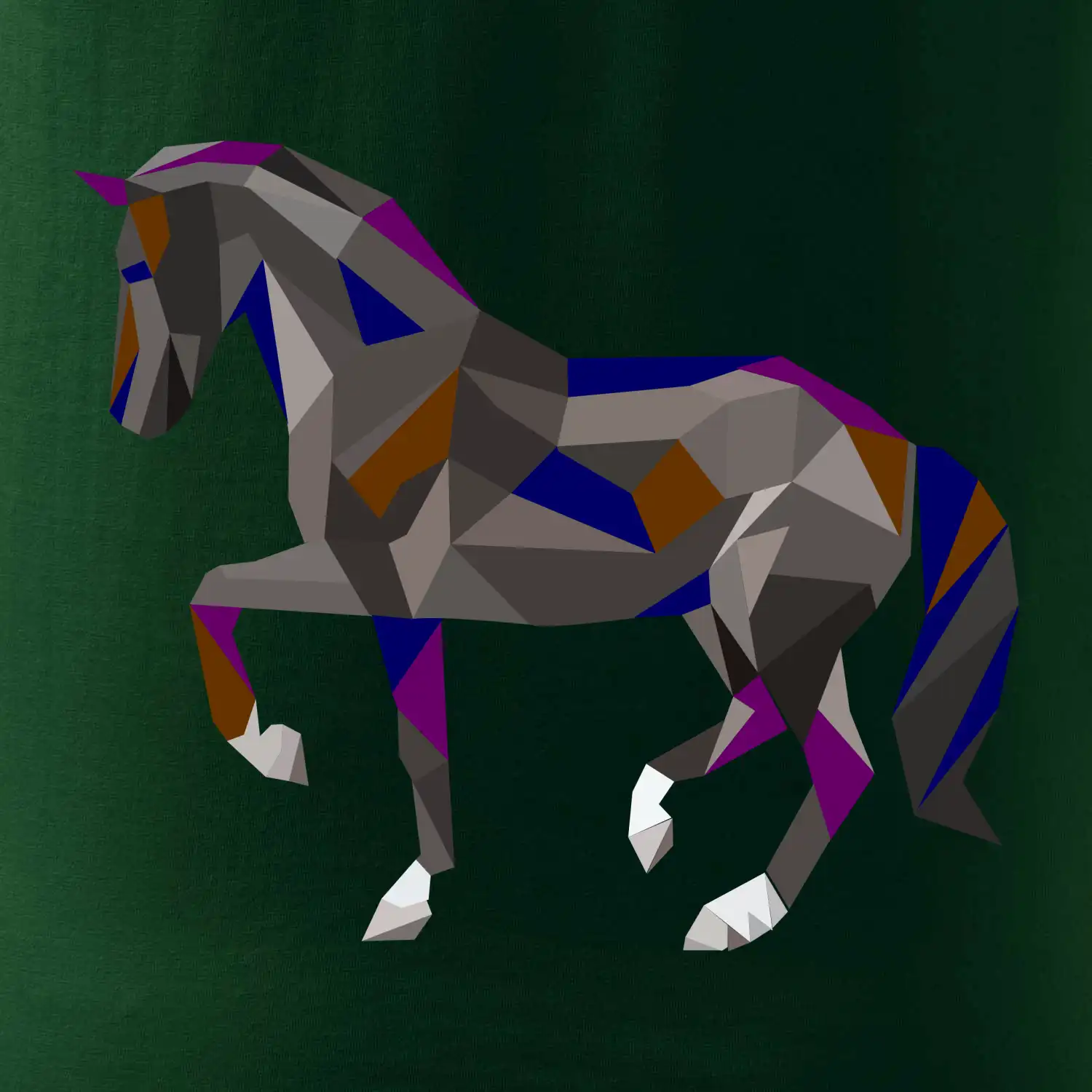 Kůň geometrie barevný