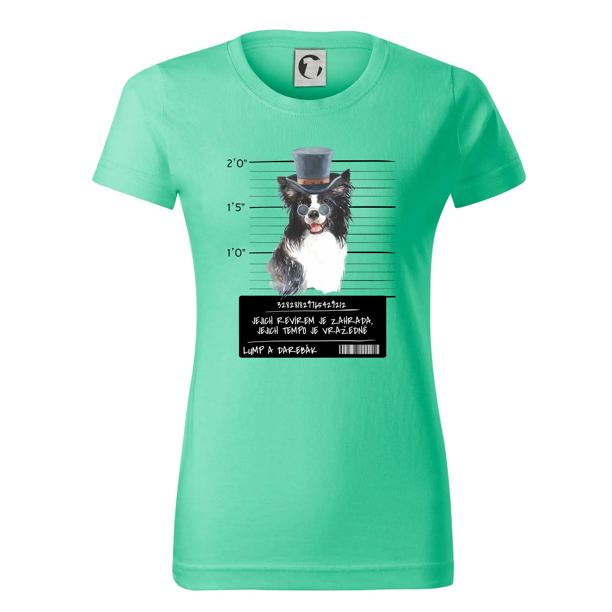 Lump a darebák border kolie