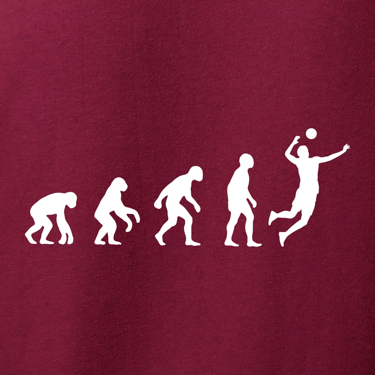 Evoluce volejbal smeč