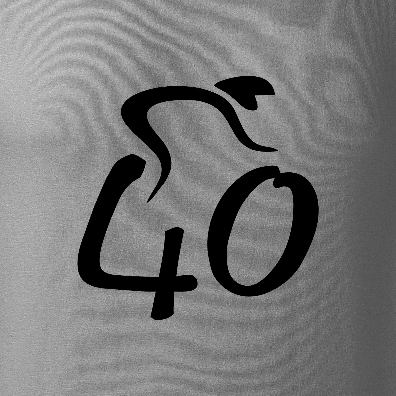 Cyklista slaví čtyřicítku (40)