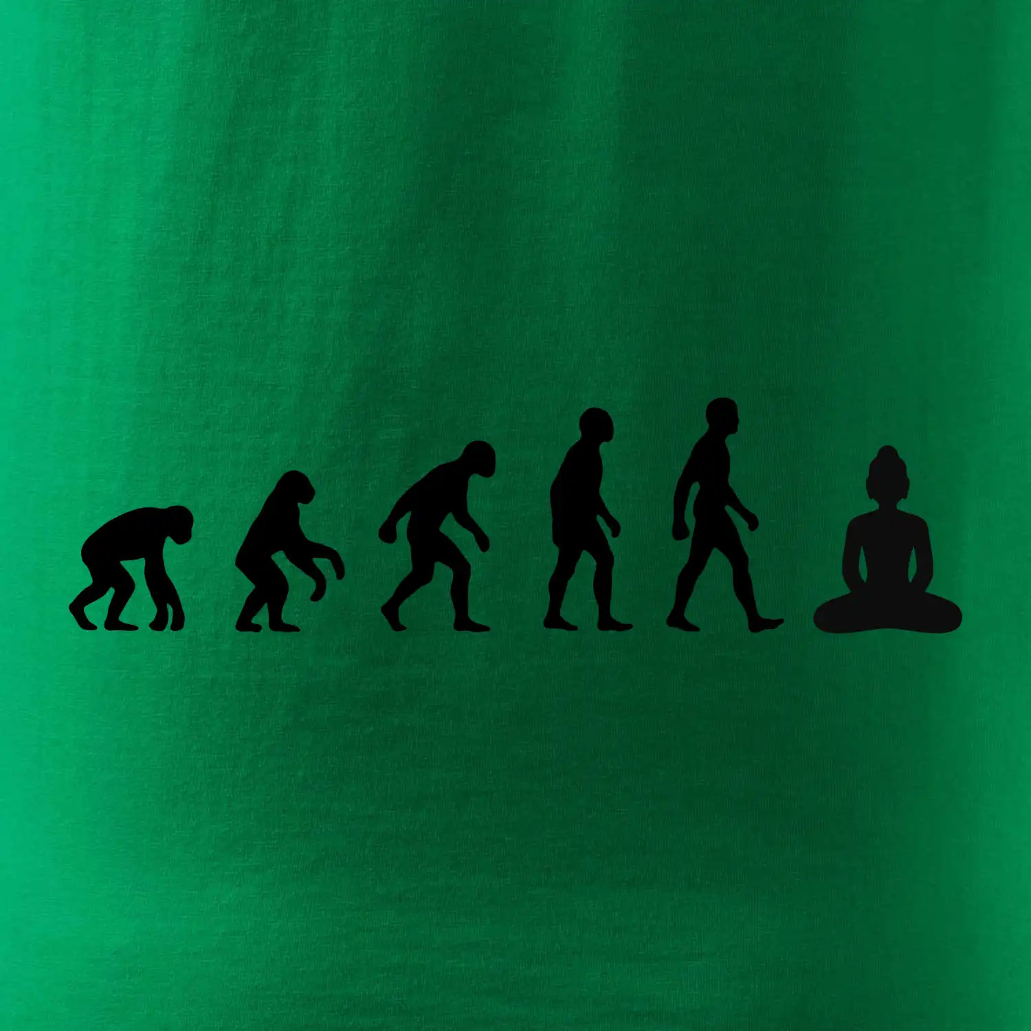 Evoluce budha