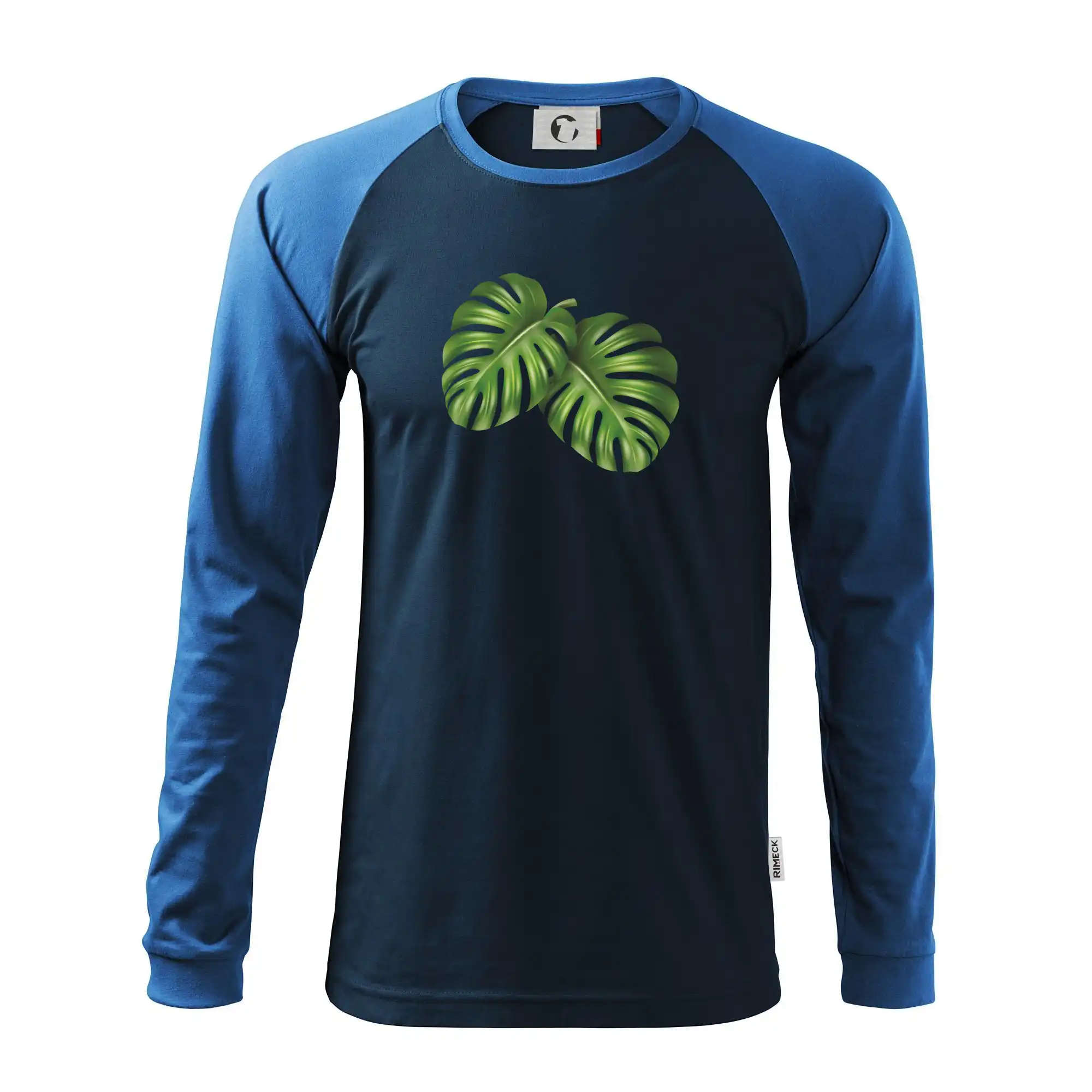 Monstera - dva listy