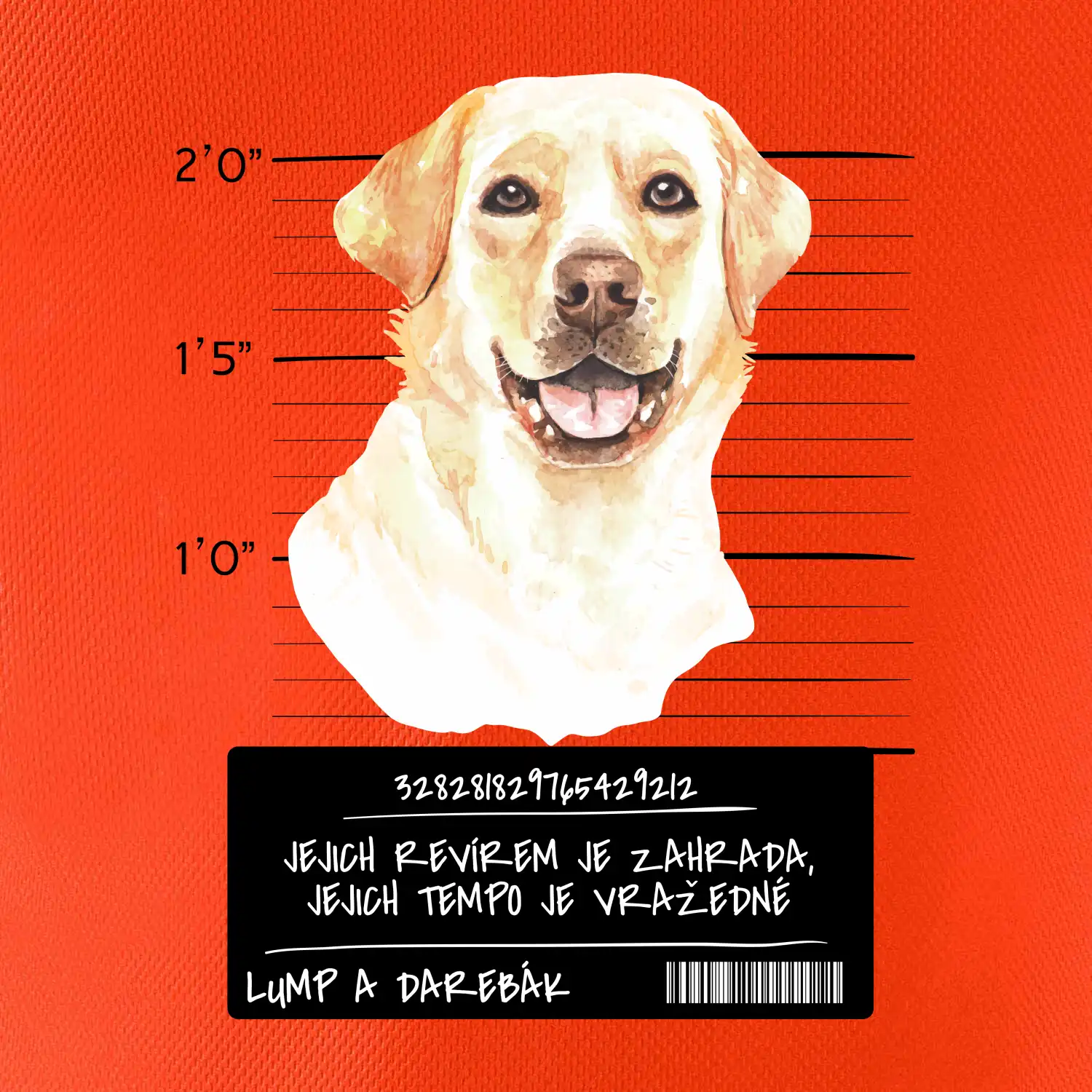 Lump a darebák labrador