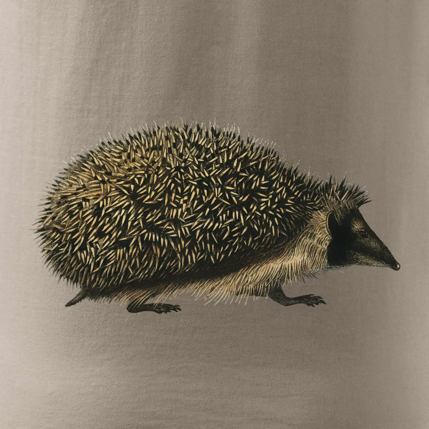 Ježek kresba