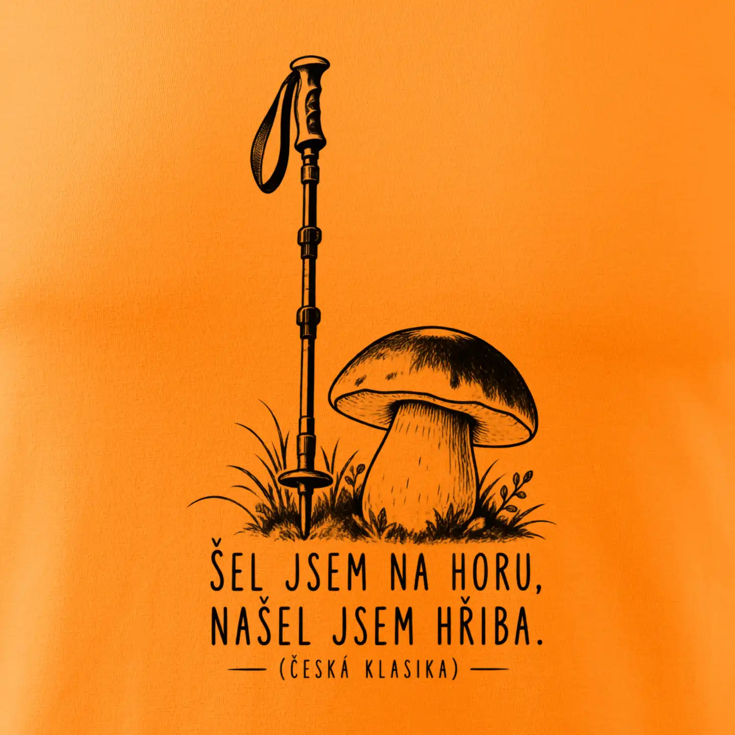 Šel jsem na horu našel jsem hřiba česká klasika