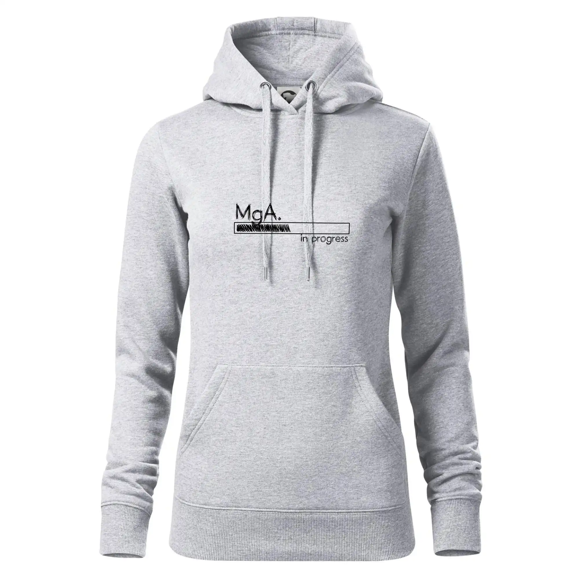 In progress titul MgA.  magistr / magistra umění