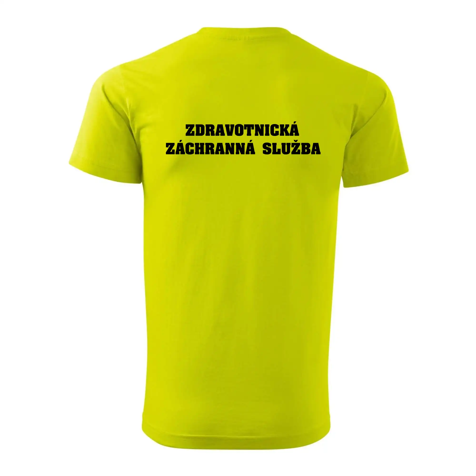 Hvězda života - zdravotnická záchranná služba