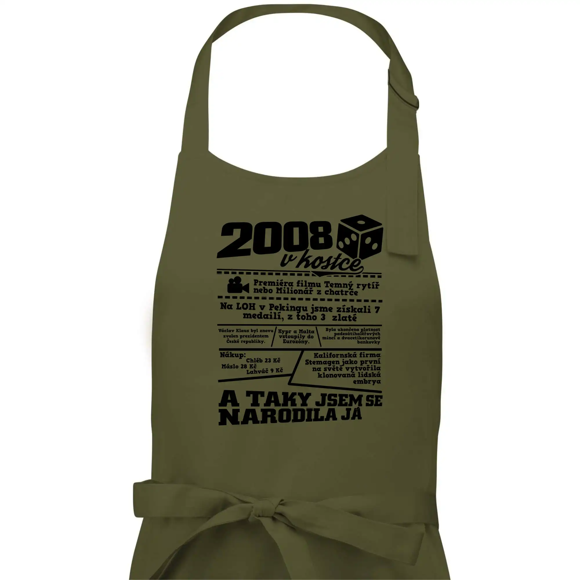 2008 v kostce