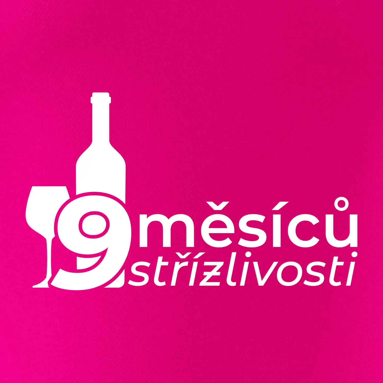 9 měsíců střízlivosti