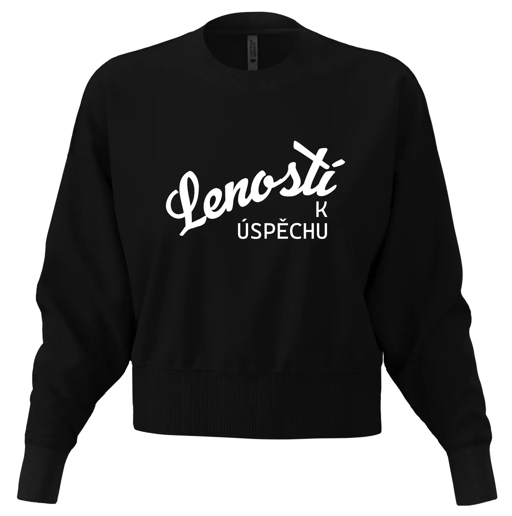 Leností k úspěchu - psací