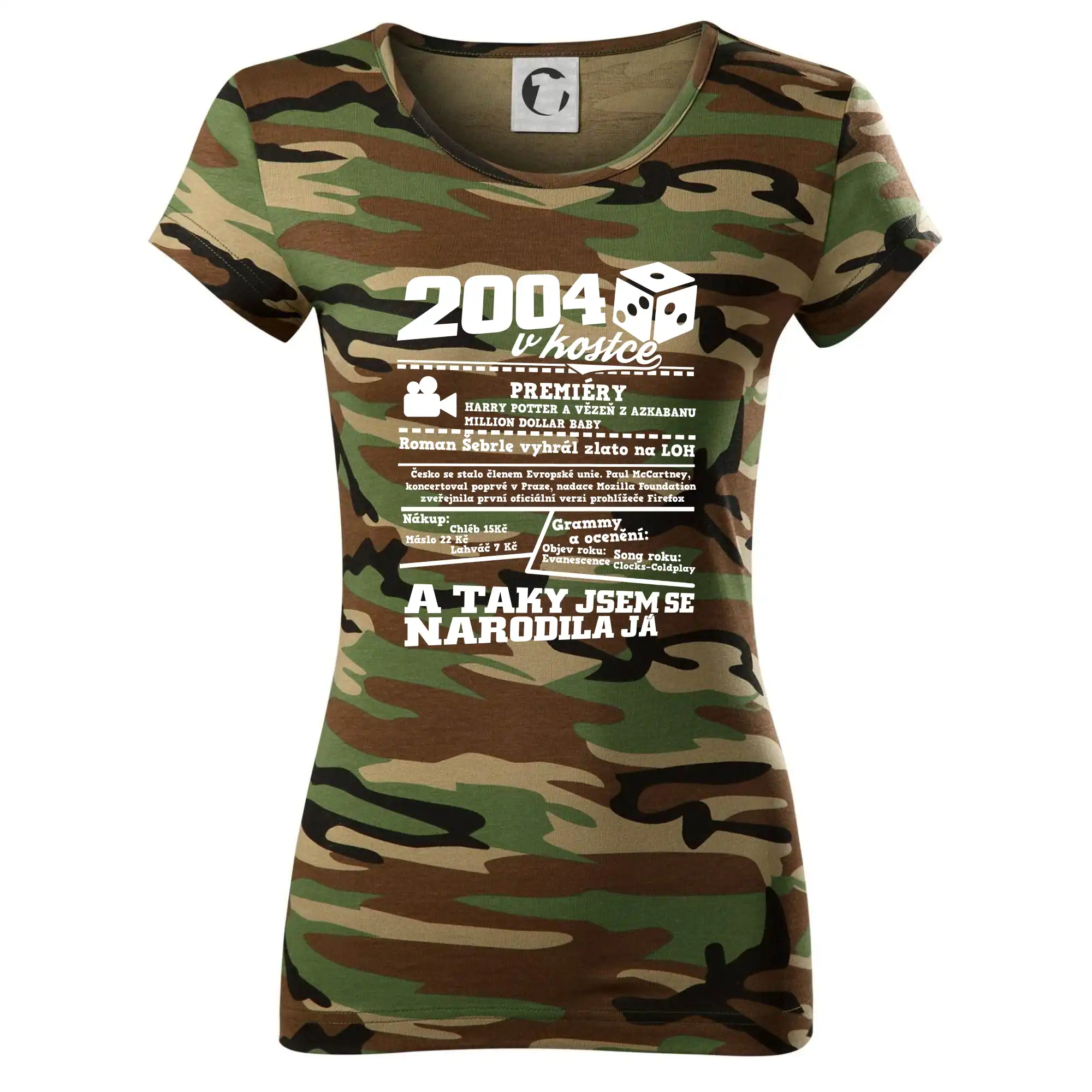 2004 v kostce