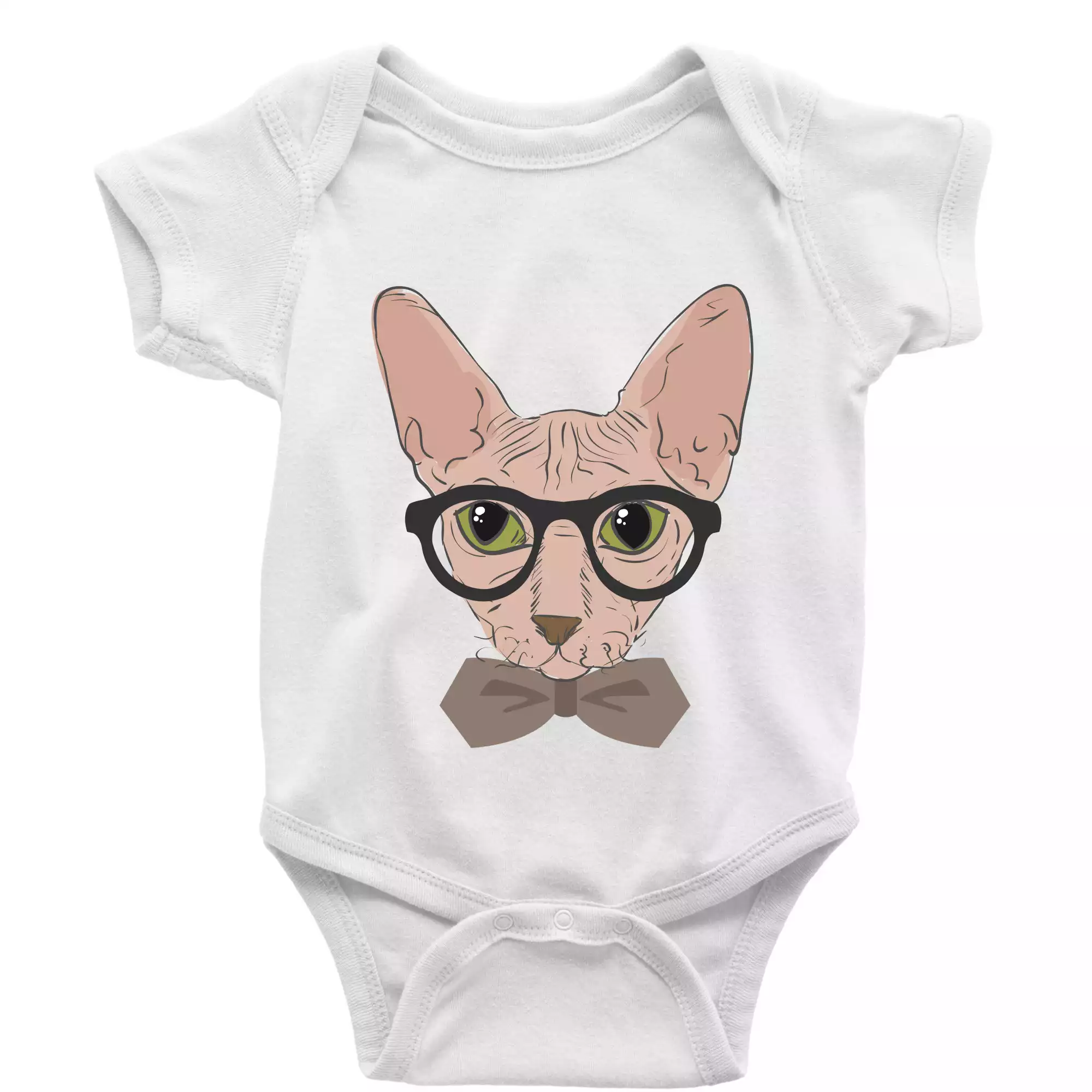 Hipster sphynx