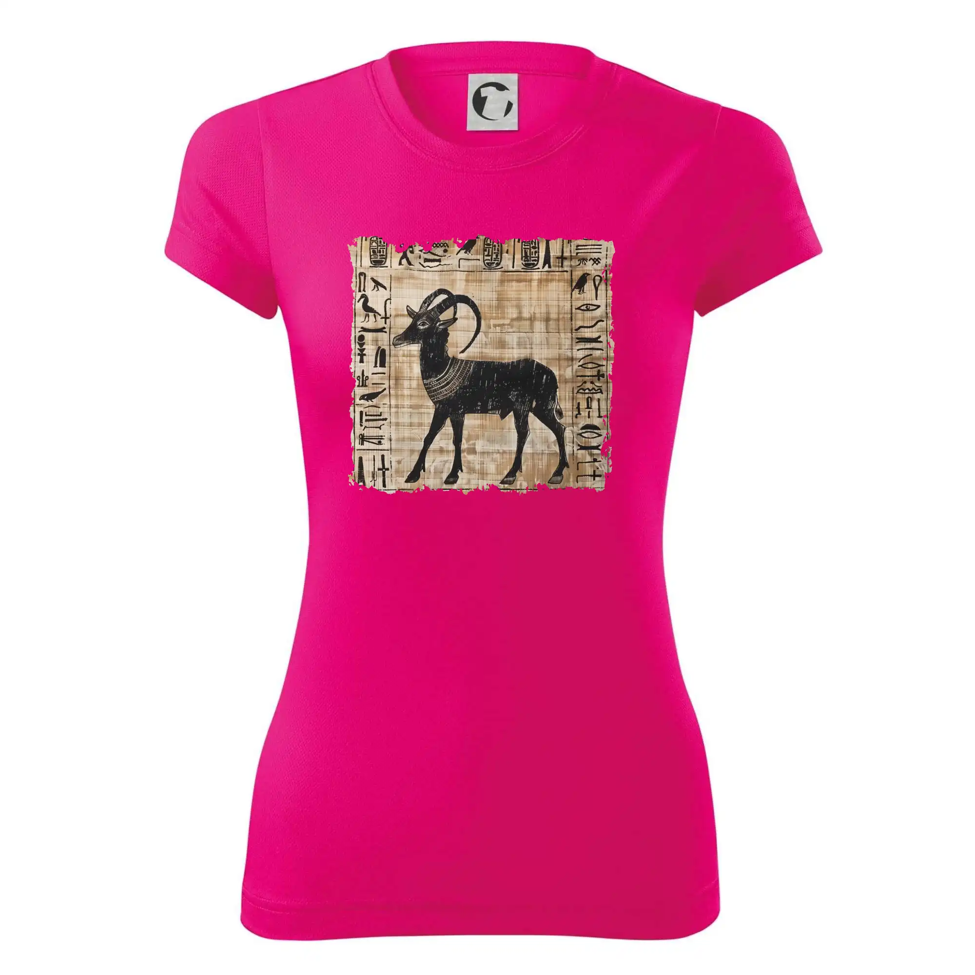 Egyptské hieroglyfy koza