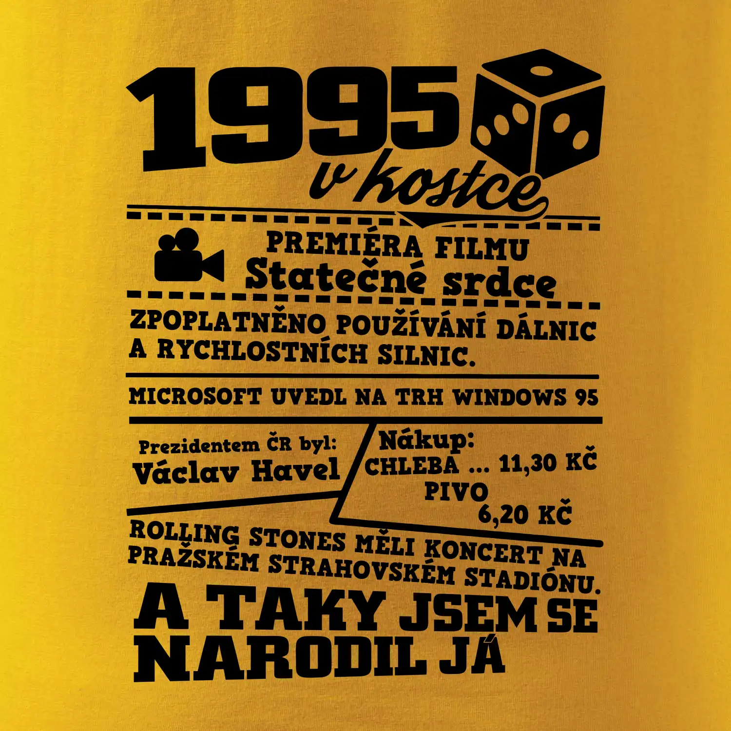 1995 v kostce