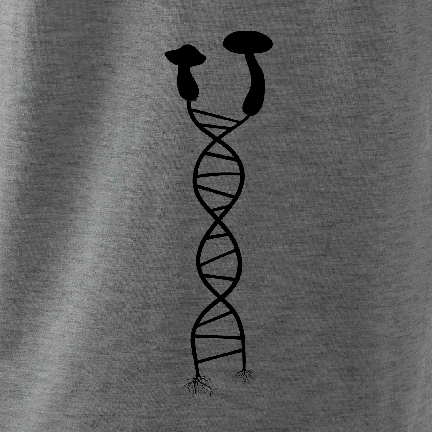 DNA houby