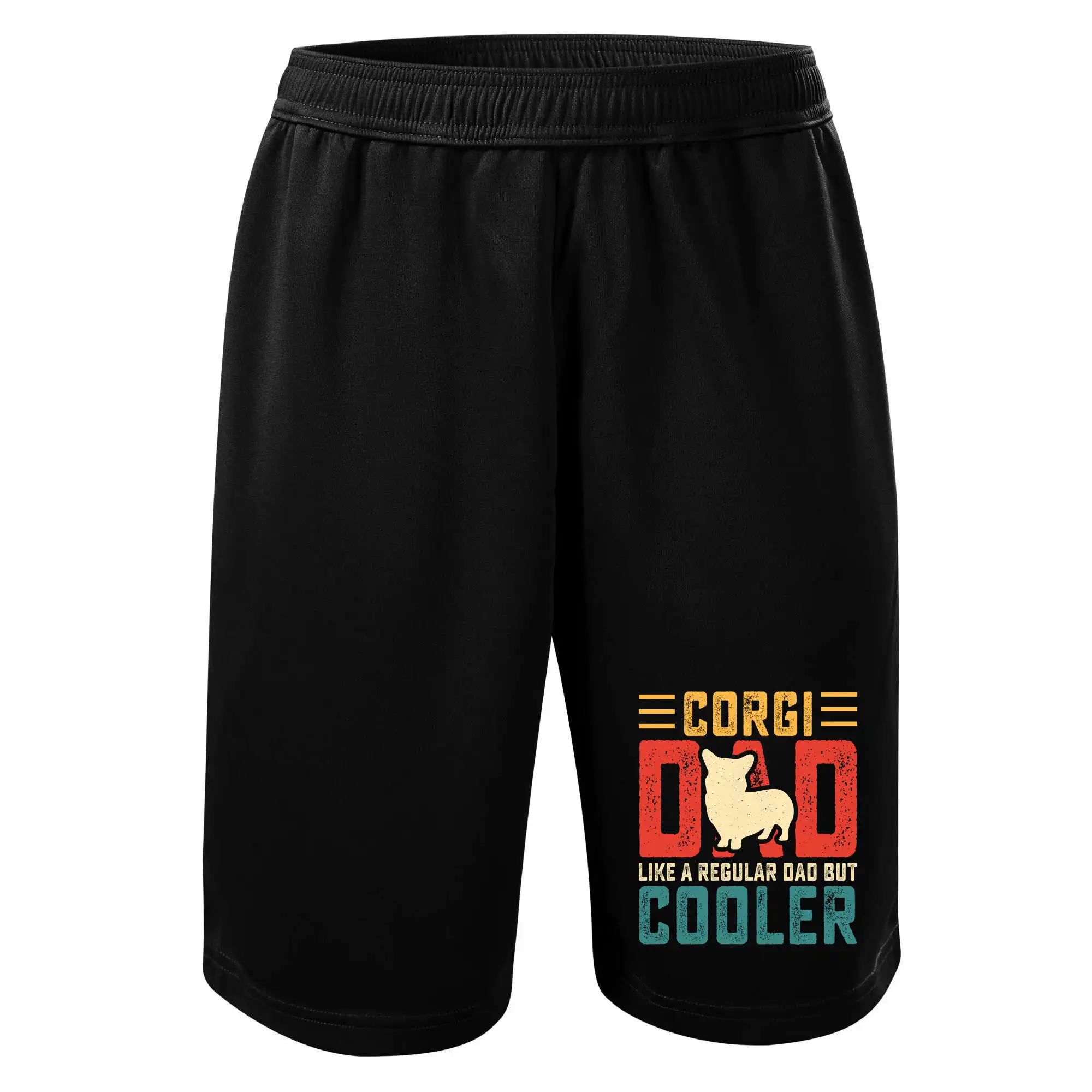 Corgi dad like a regular dad but cooler