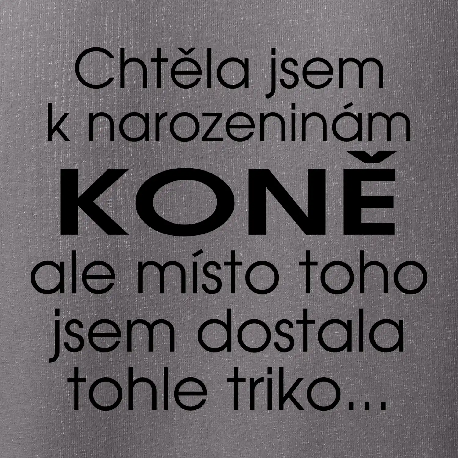 Chtěla jsem dostat k narozeninám koně