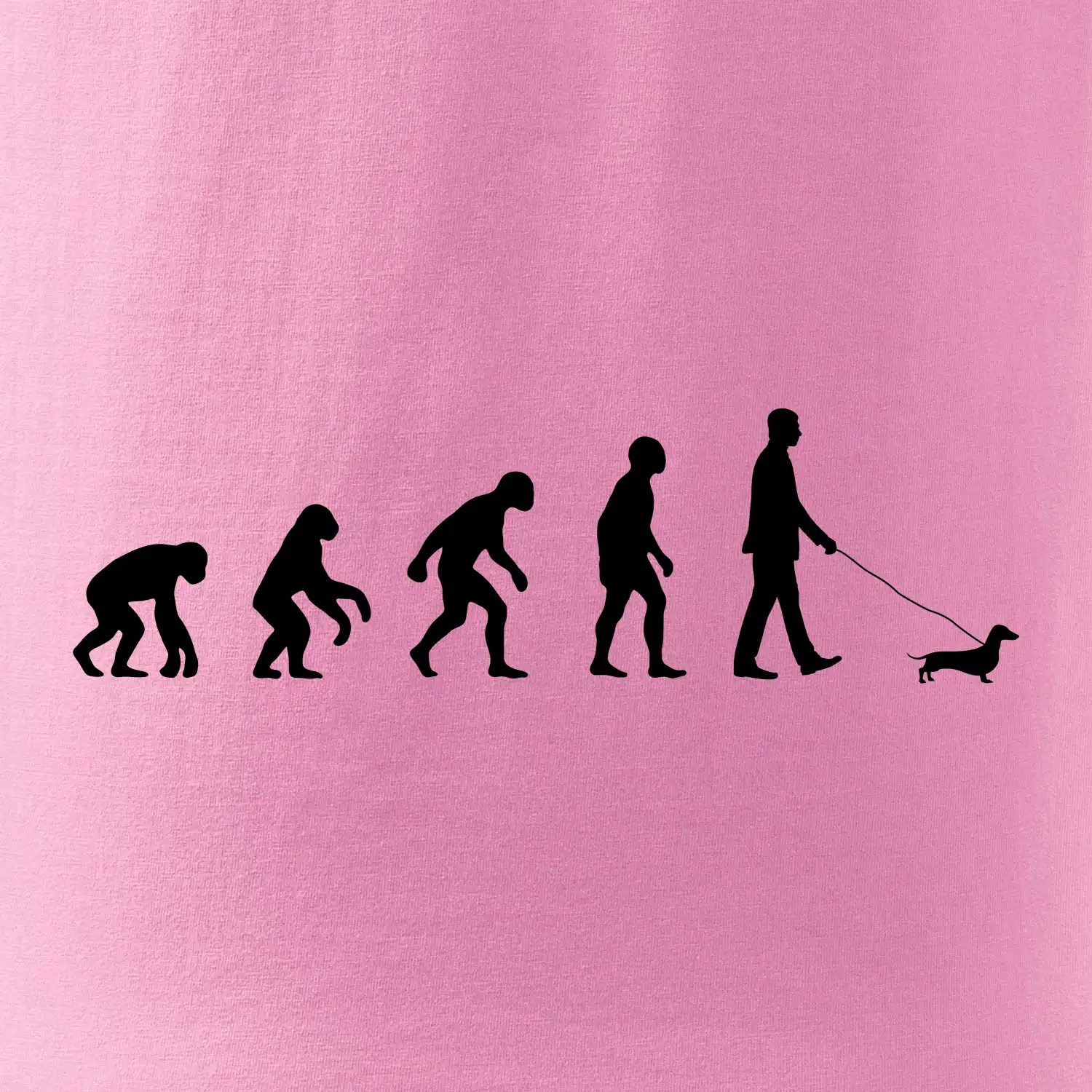 Jezevčík Evoluce muž / žena