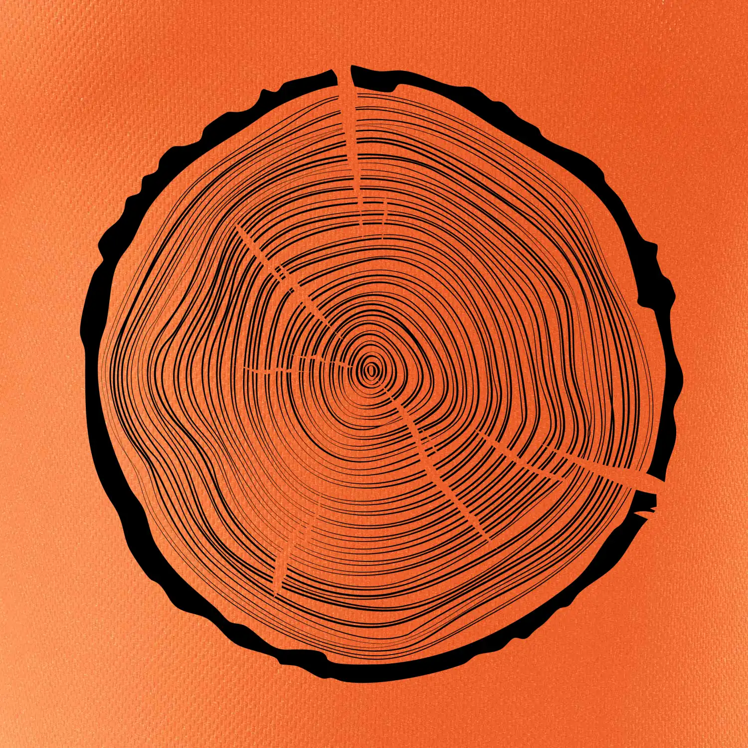 Letokruhy 50 bez věku