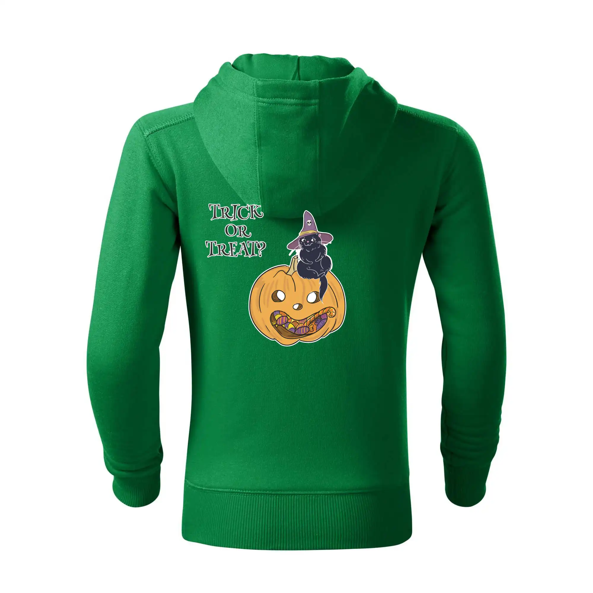 Dýně a kočka
