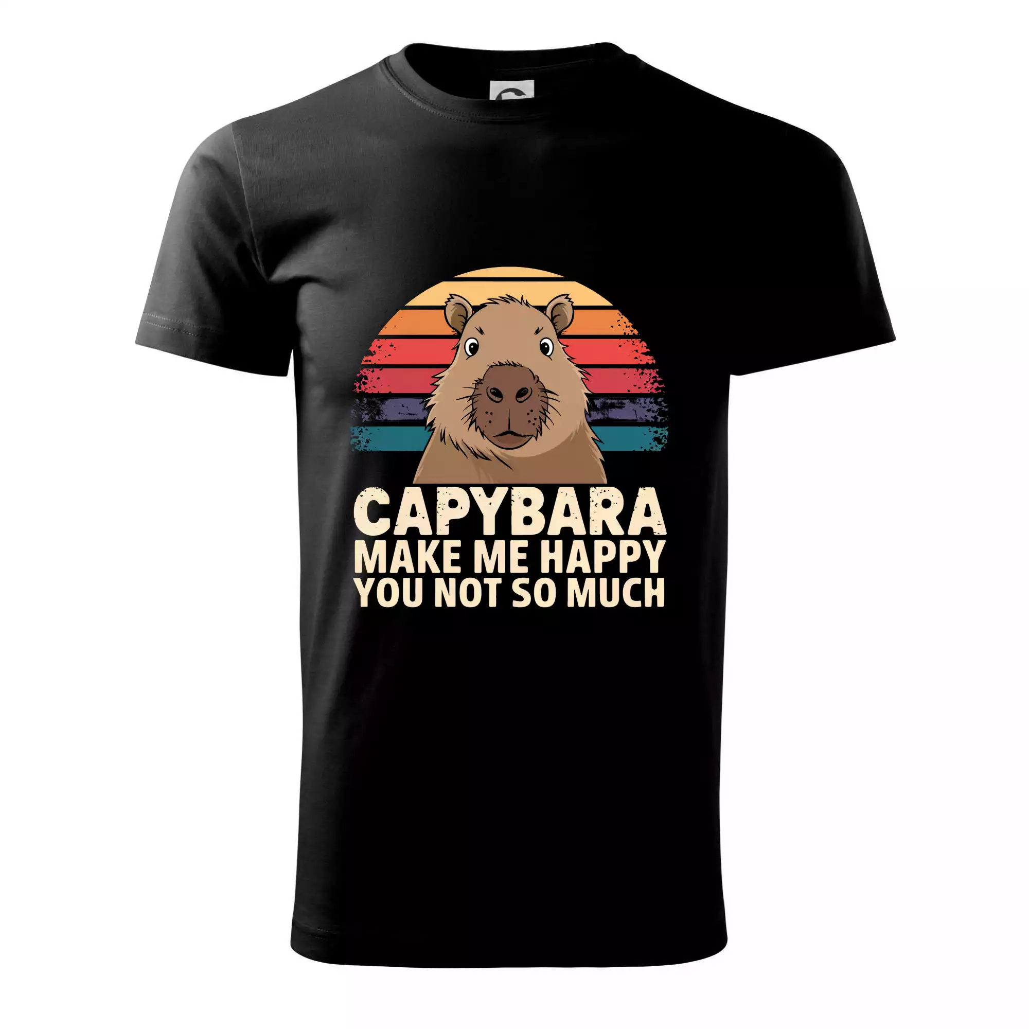 Capybara Make Me Happy You Not So Much
