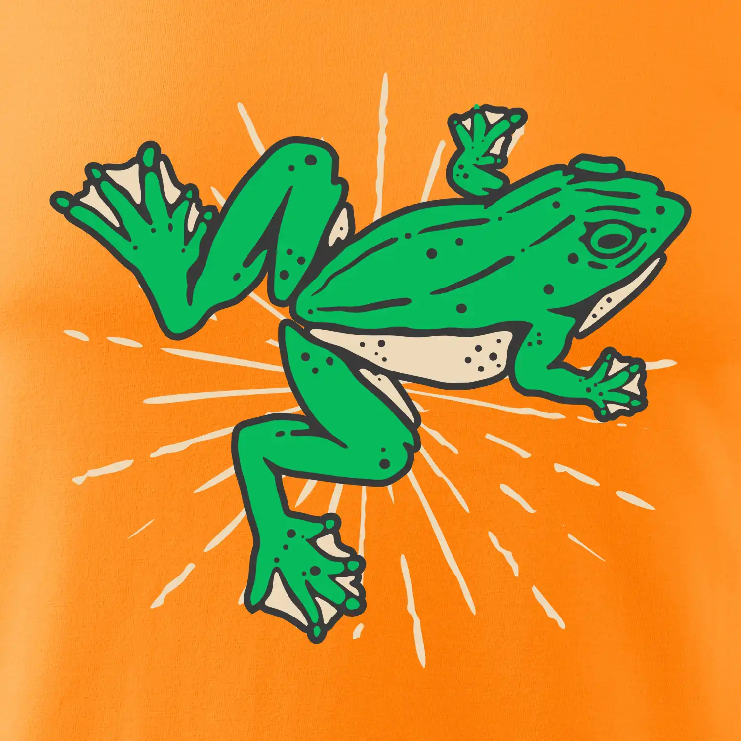 Žába zelená kreslená