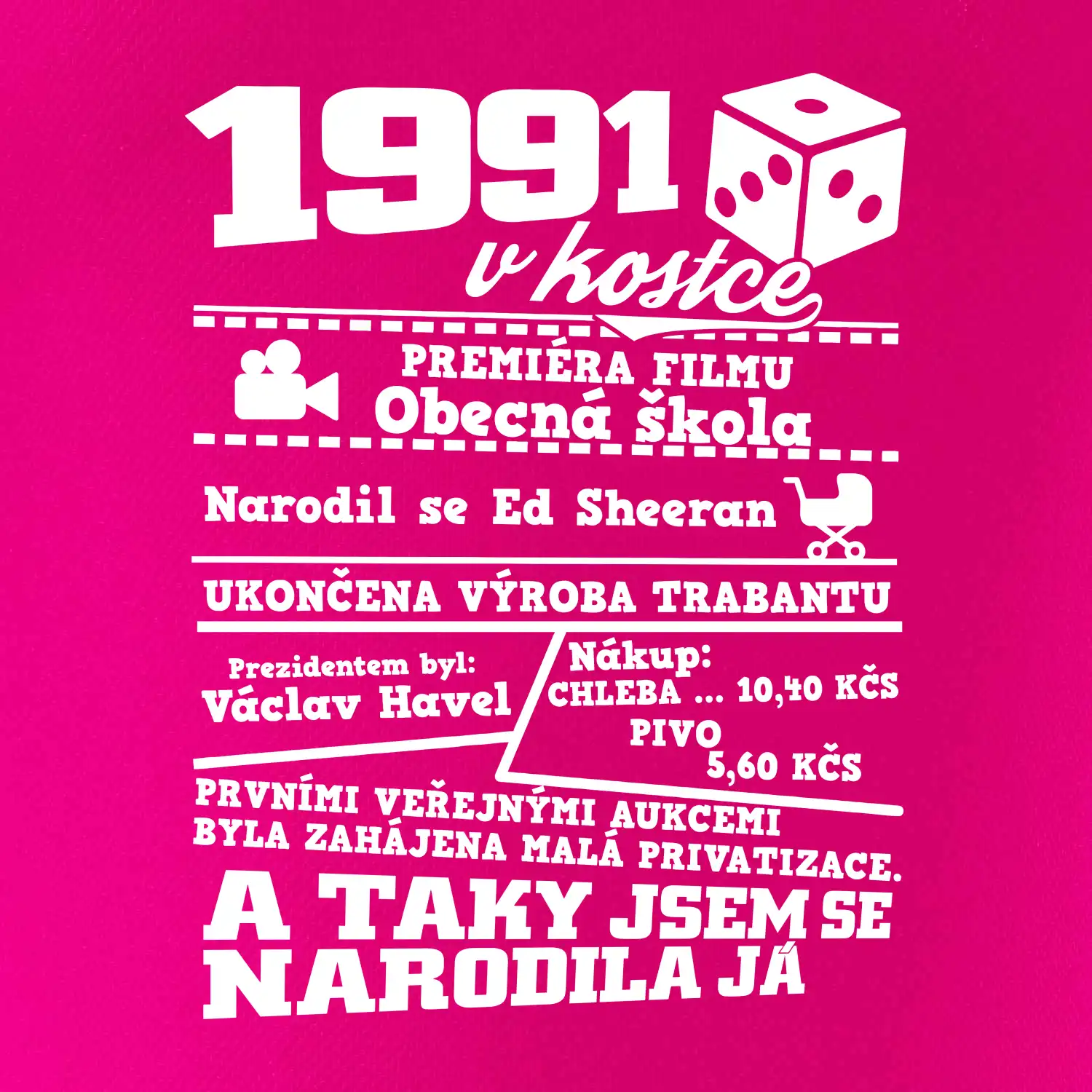1991 v kostce