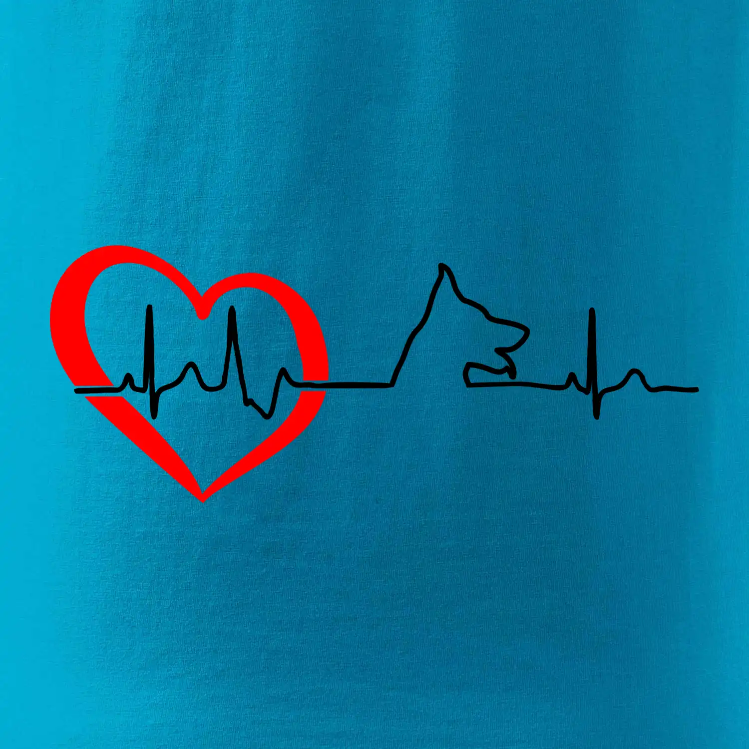 Německý ovčák ekg