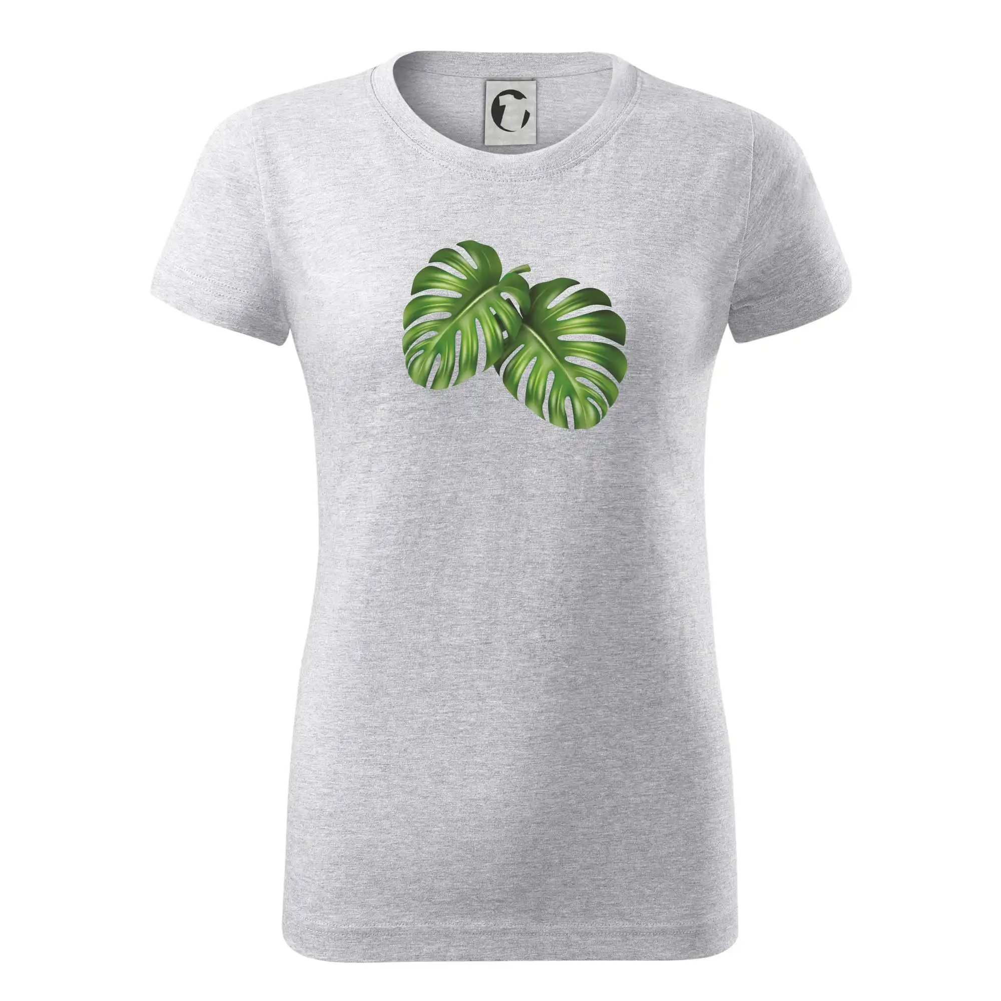 Monstera - dva listy