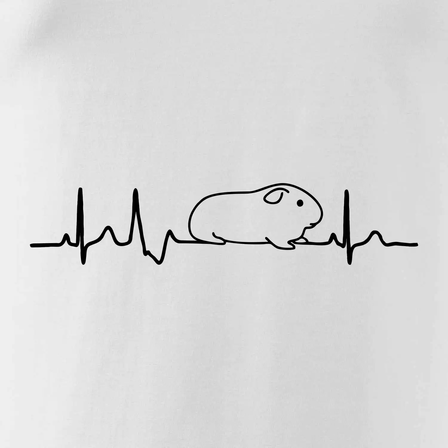 EKG morče