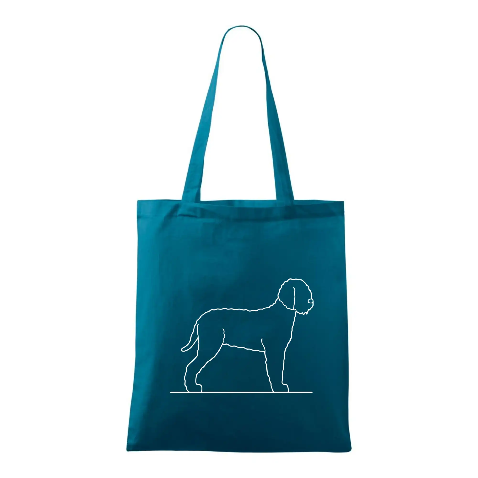 Lagotto romagnolo stojící