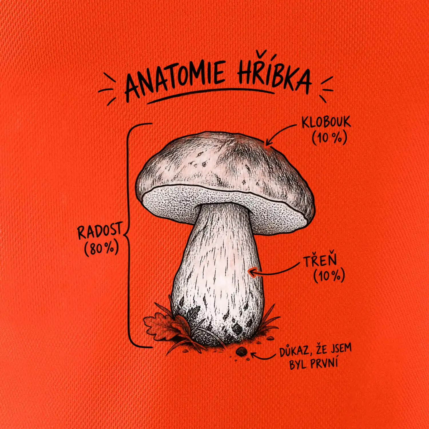 Anatomie hříbka