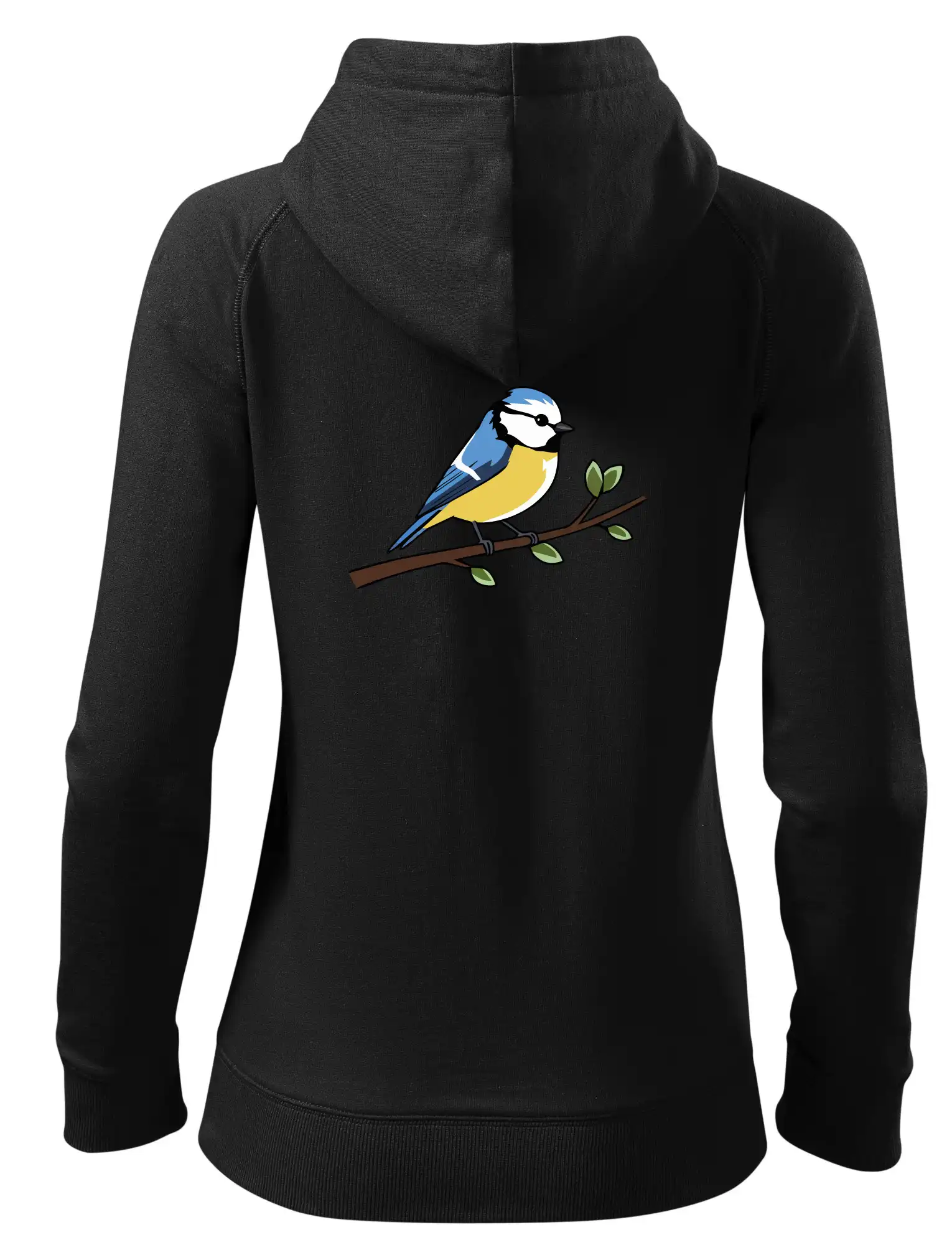 Sýkorka modřinka na větvi