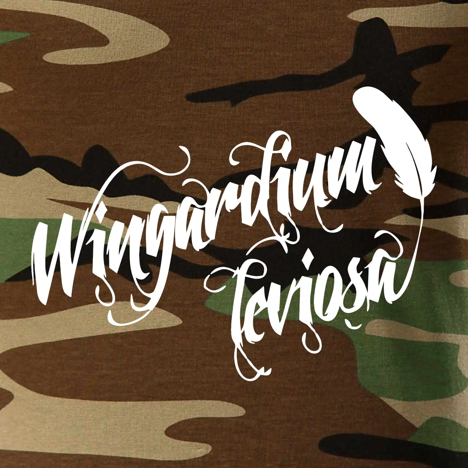 Harry - Wingardium Leviosa