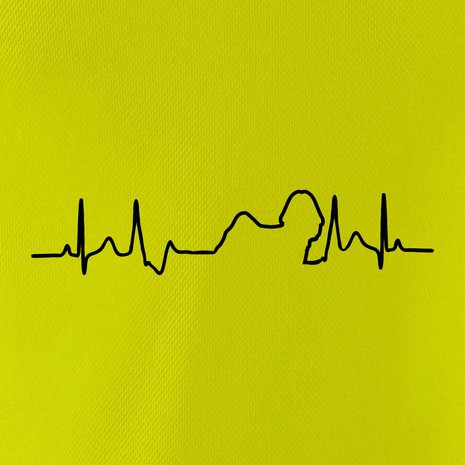 Shih-tzu ekg obrys