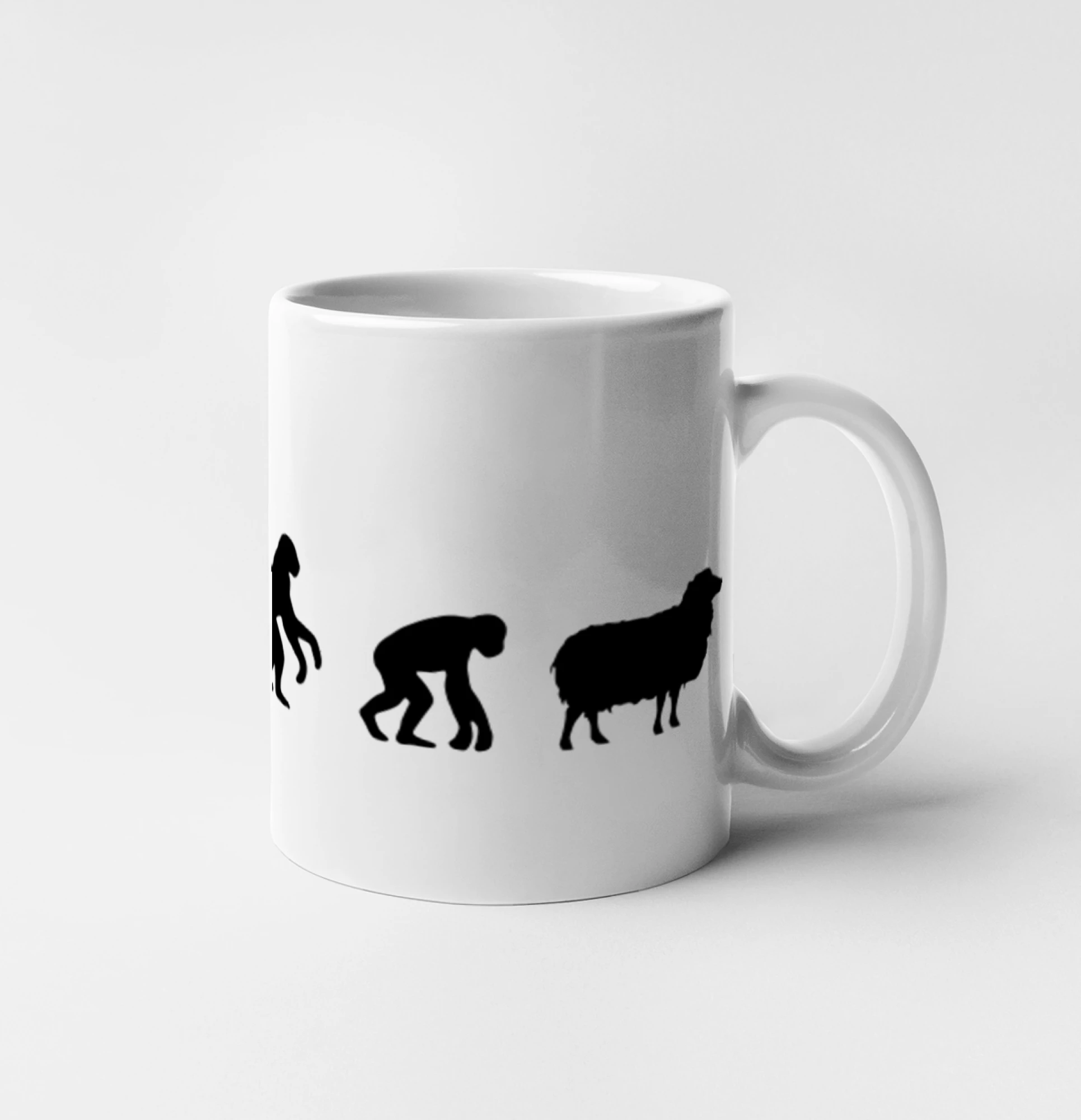 Evoluce ovce