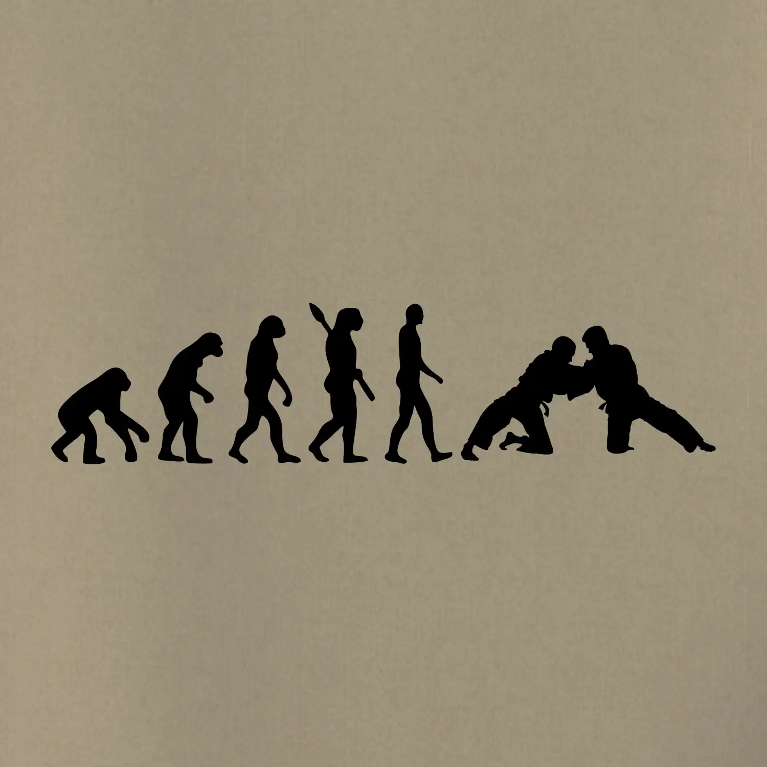 Judo Evoluce