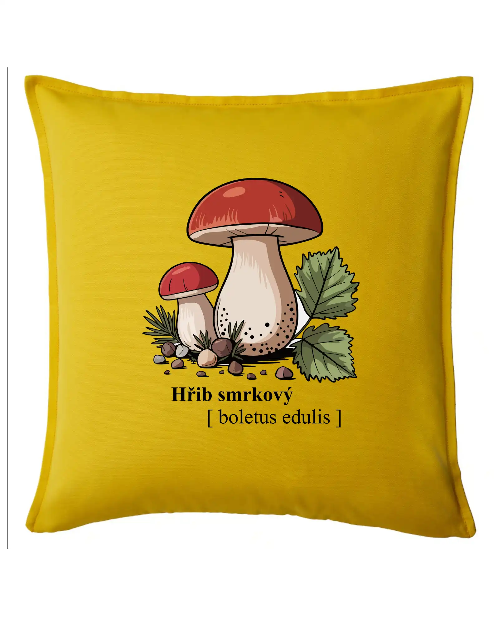 Hřib smrkový - Boletus edulis kreslený