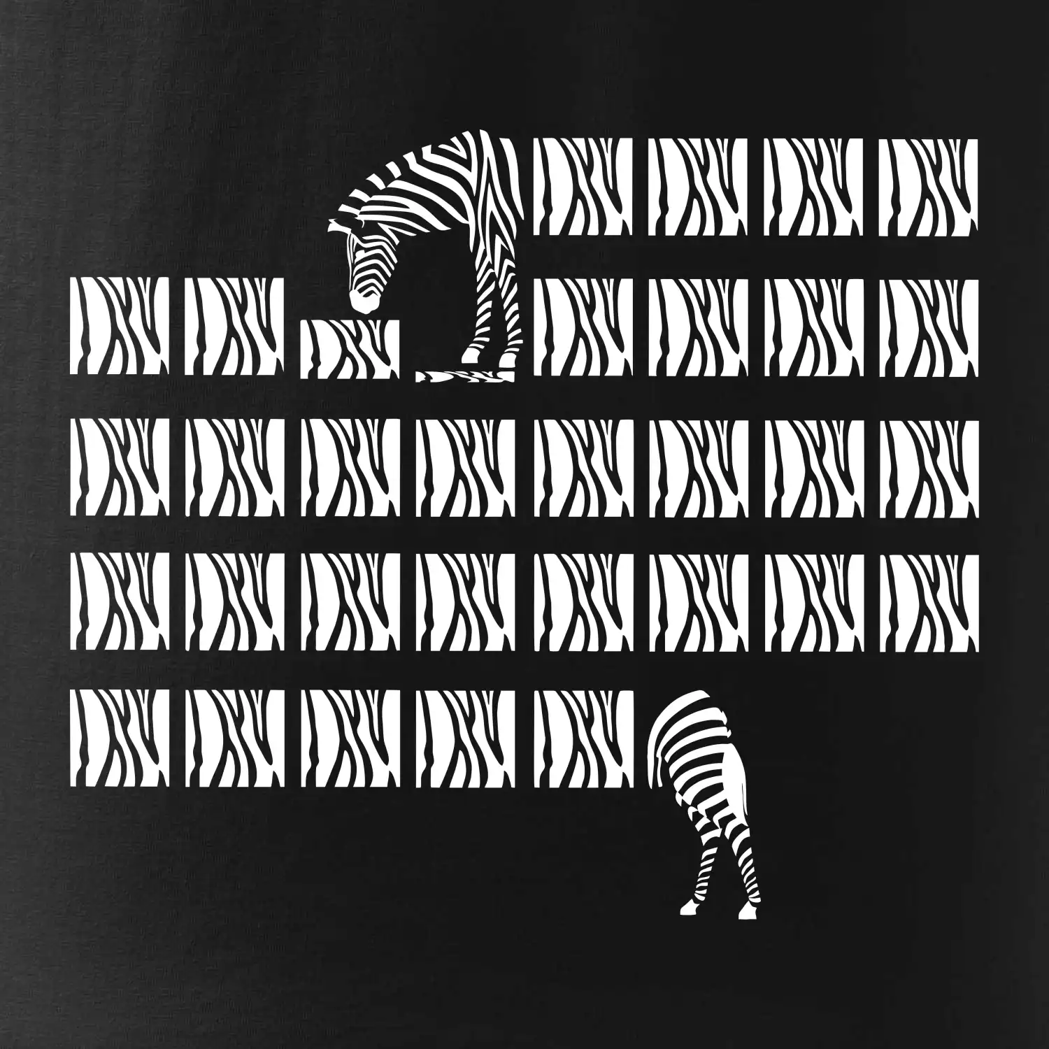 Zebra dlouhá