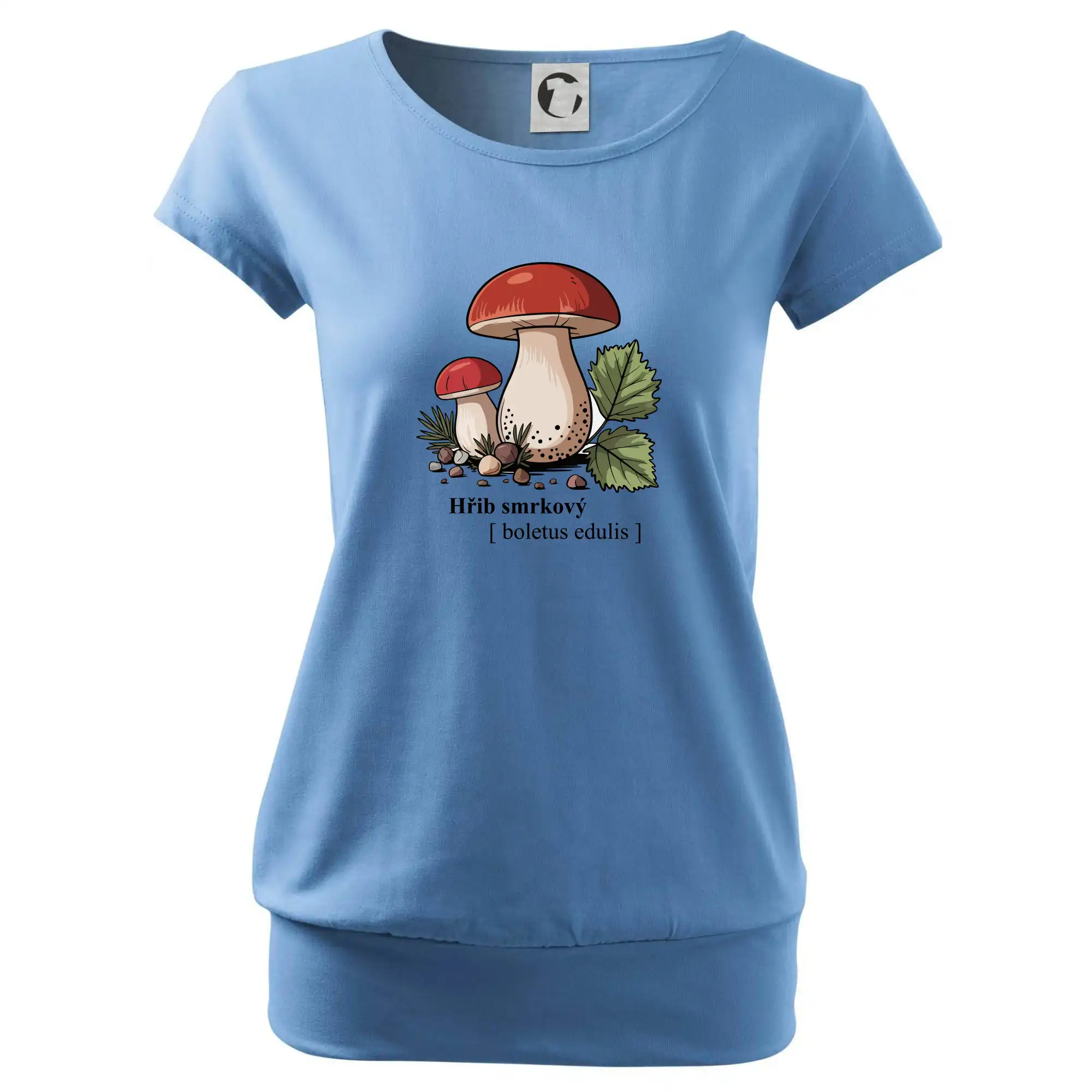 Hřib smrkový - Boletus edulis kreslený