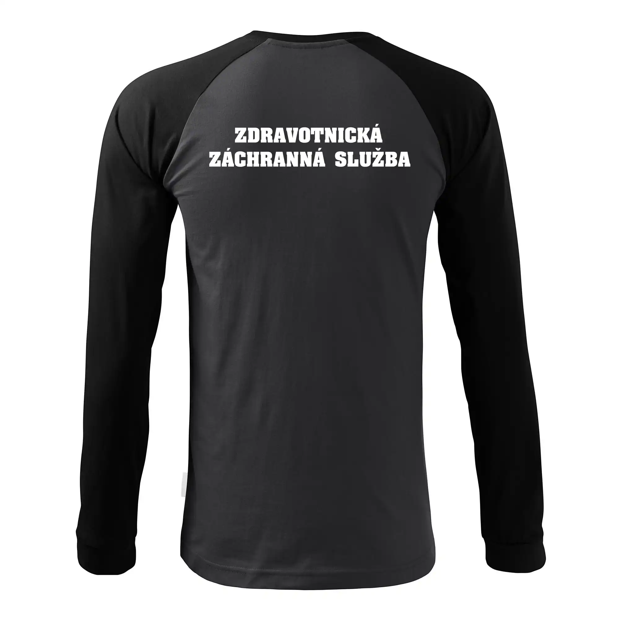 Hvězda života - zdravotnická záchranná služba