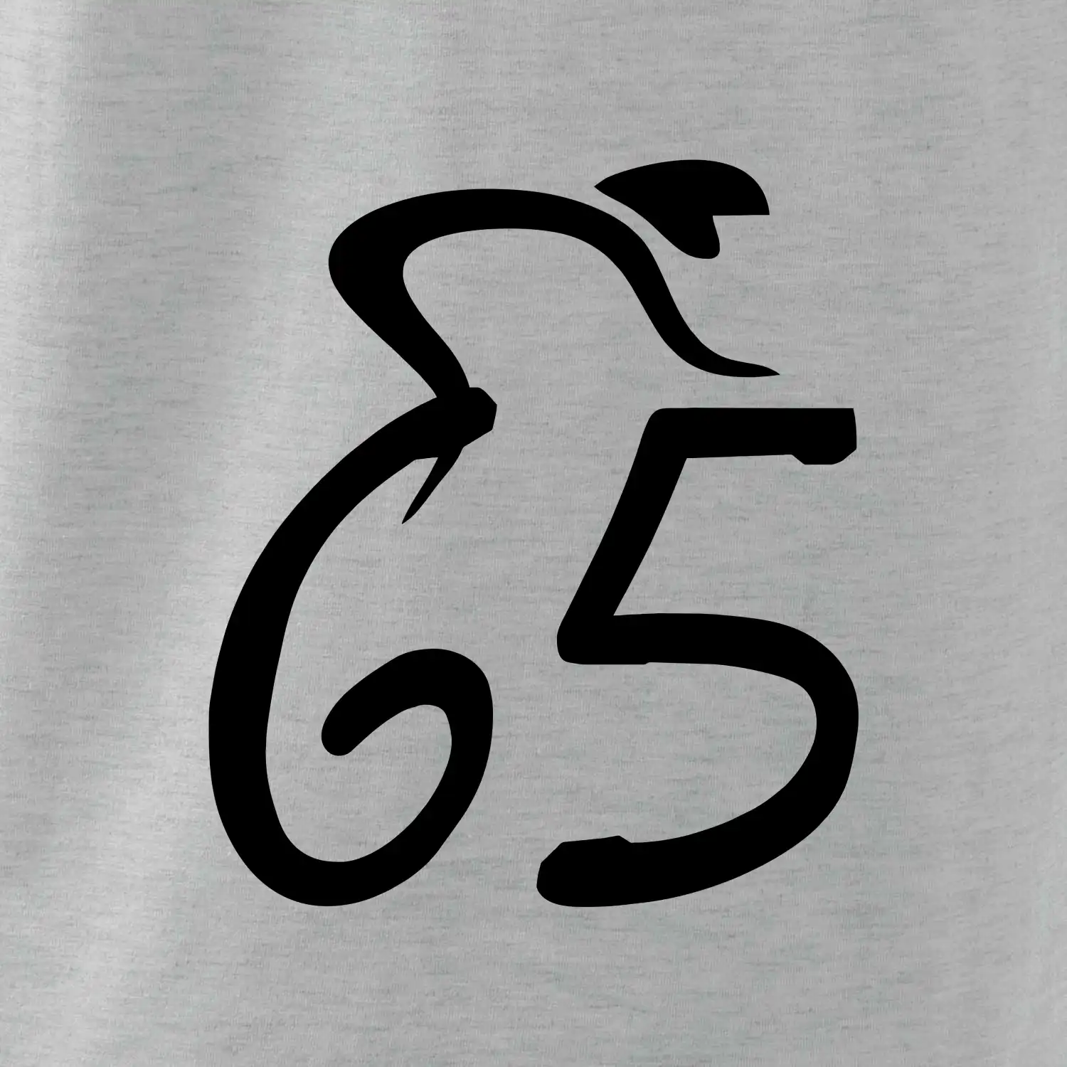 Cyklista slaví pětašedesátku (65)
