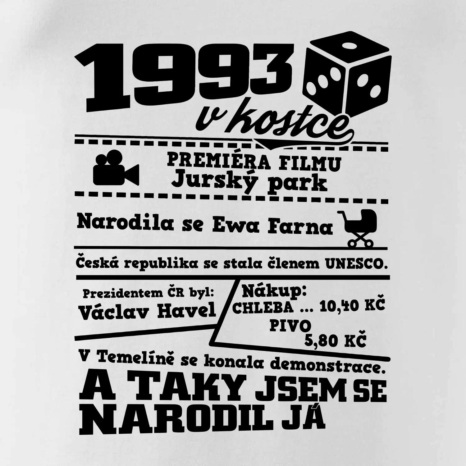 1993 v kostce
