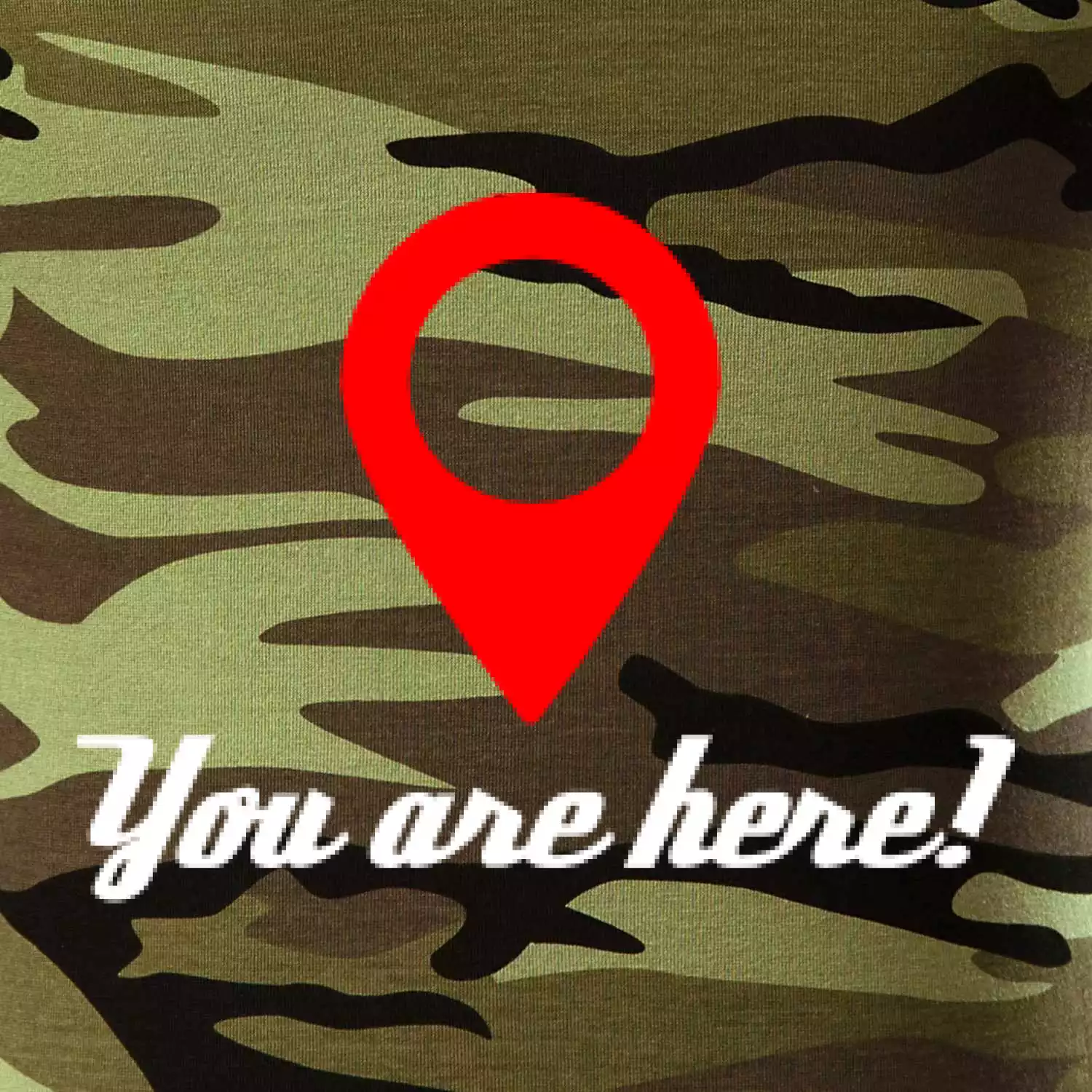 You are here