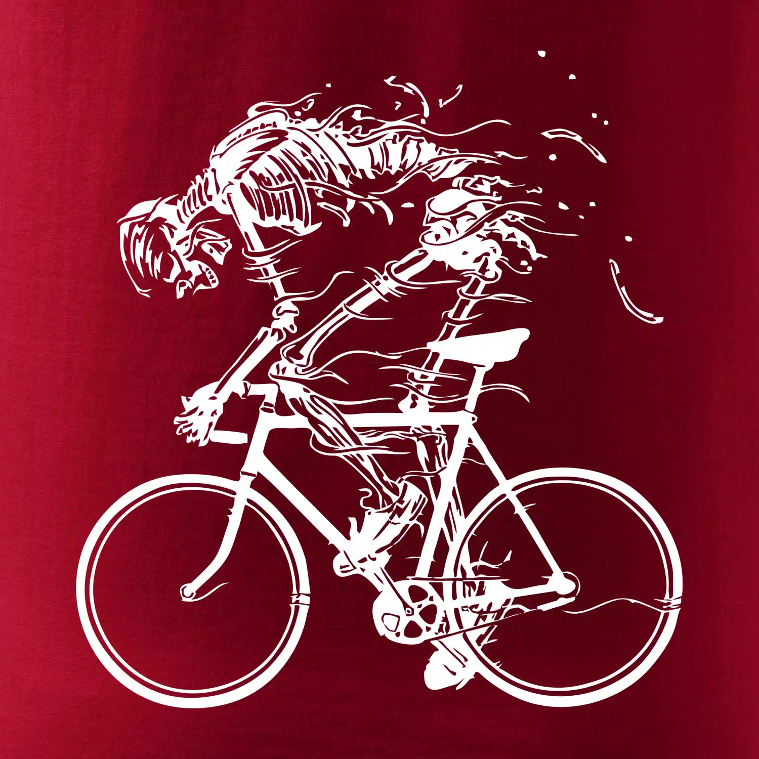 Cyklo kostra