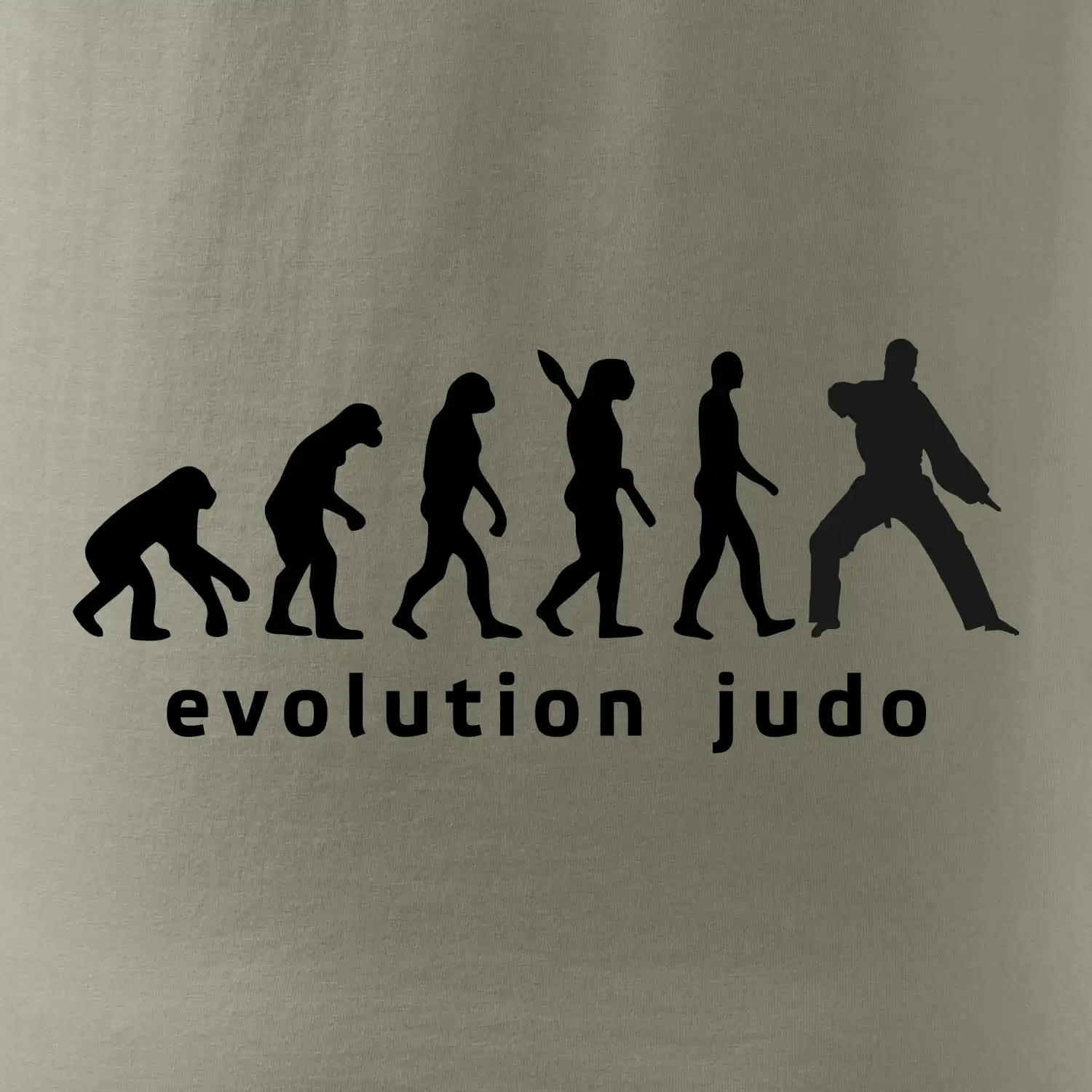 Judo evoluce - úder