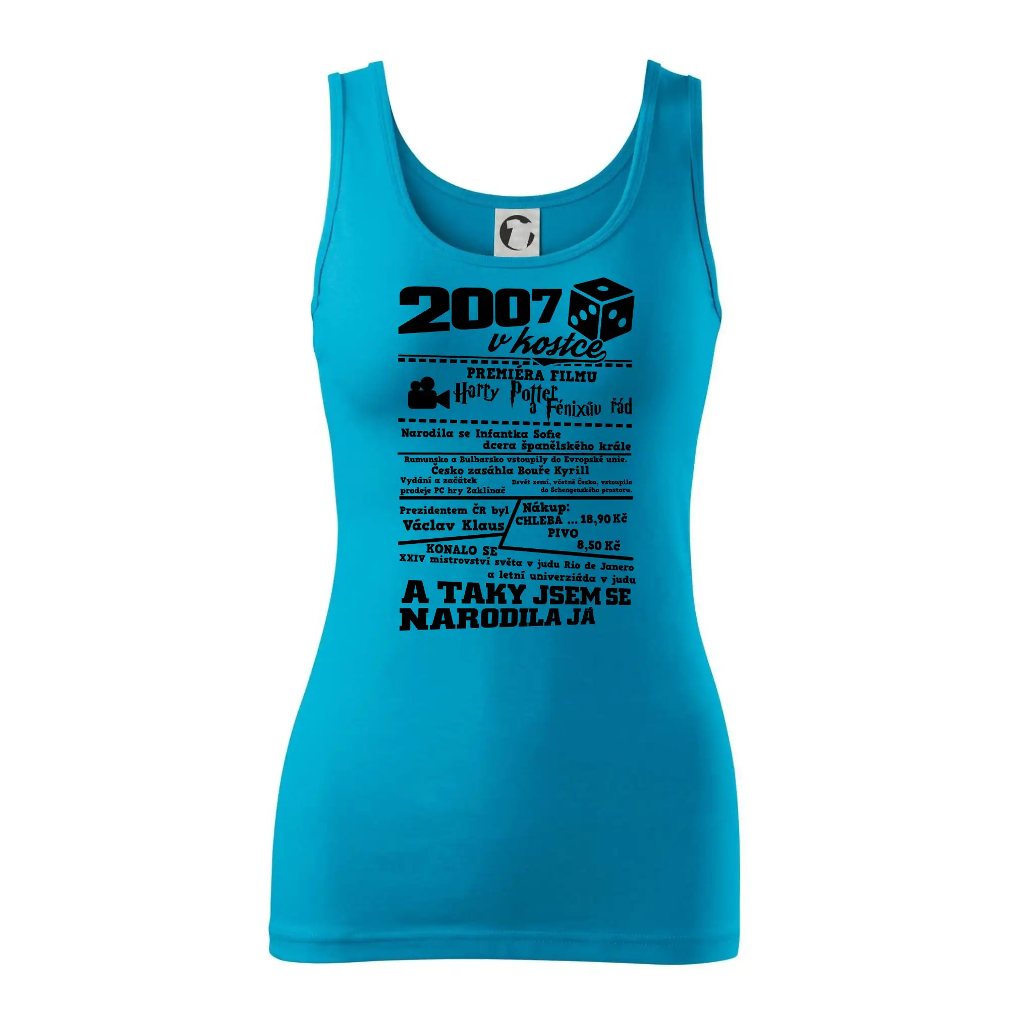 2007 v kostce